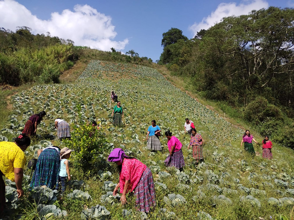 Visión de liderazgo fintech y futuro digital