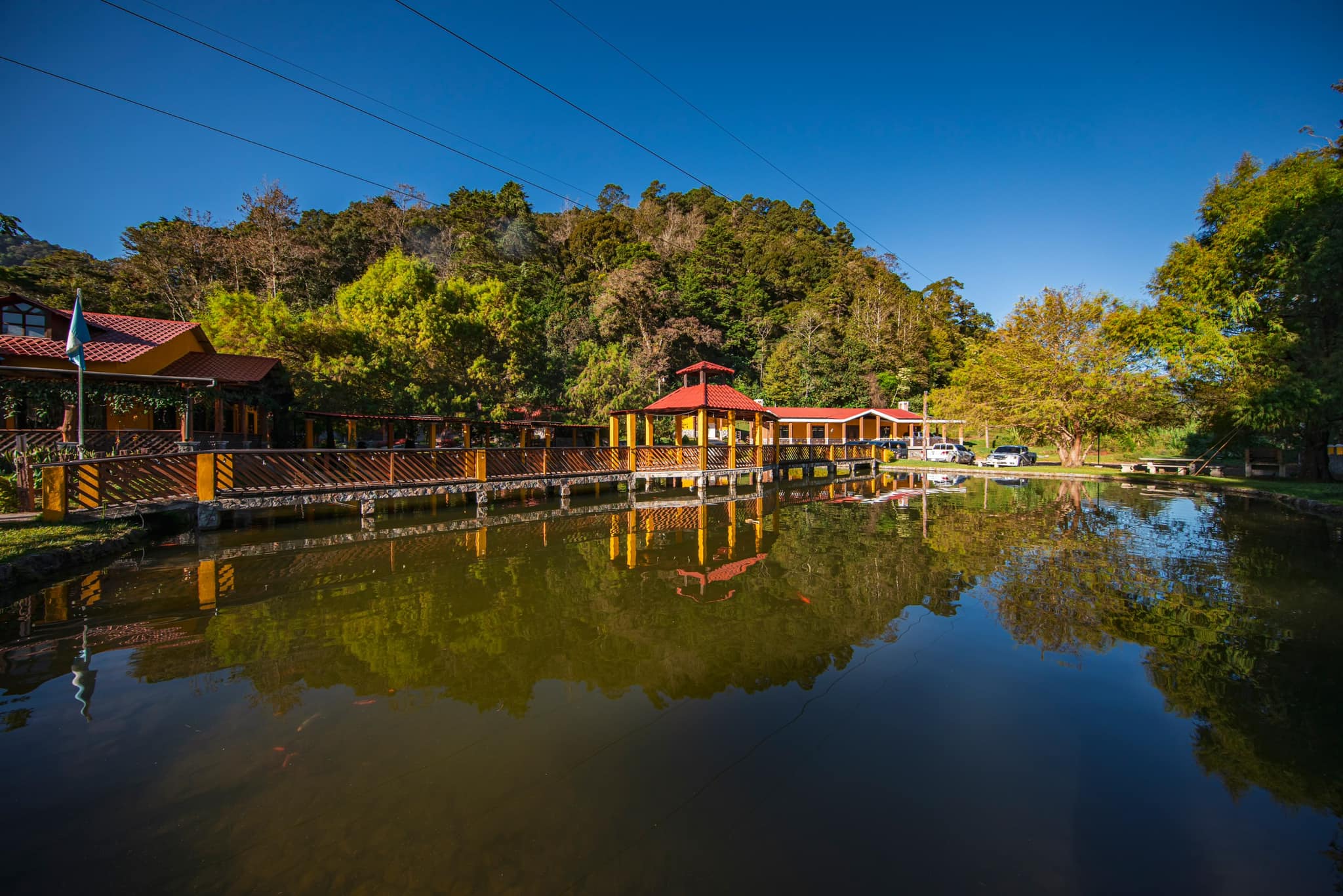 Gráficos de crecimiento y objetivos analíticos